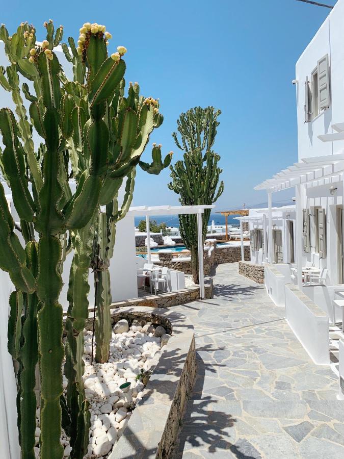 Damianos Mykonos Hotel Mykonos Town Kültér fotó